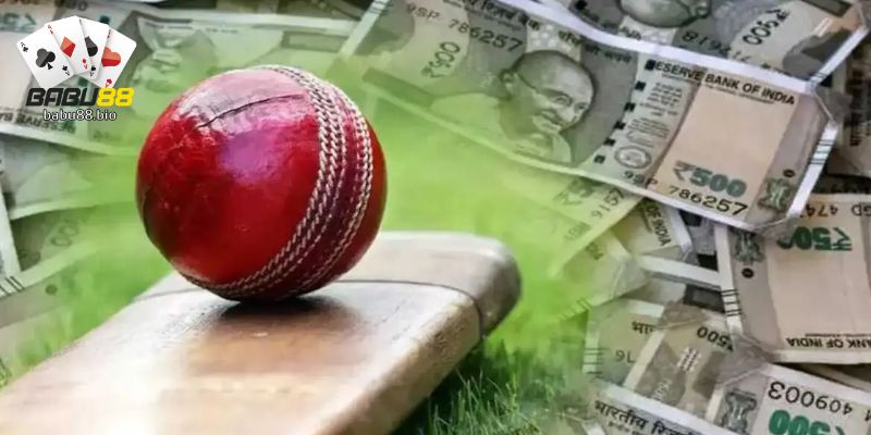 Alternative Betting Options for Cricket Exchange