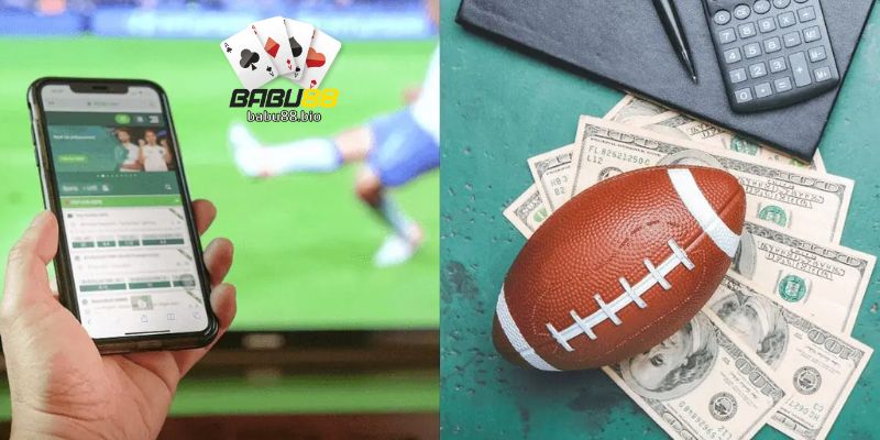 Steps to Place Sports Bets on Babu88