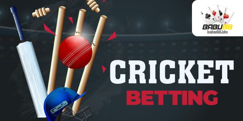 How to Place Cricket Bets on Babu88