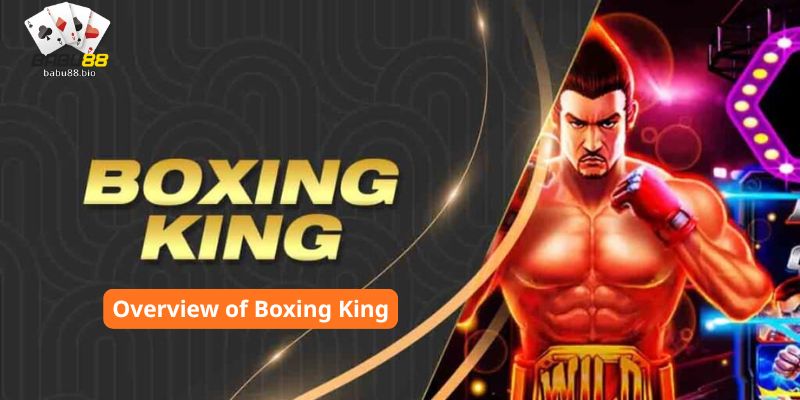 Overview of Boxing King