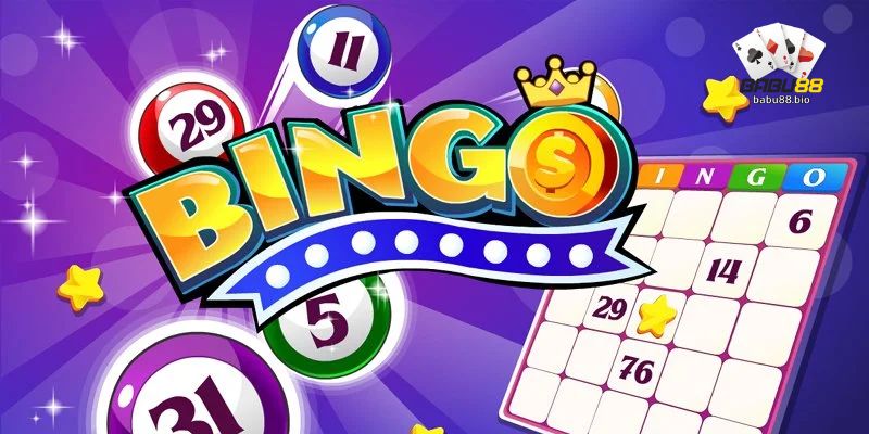 How Bingo Works