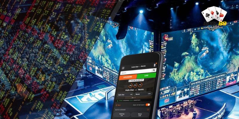How Esports Tournaments Work