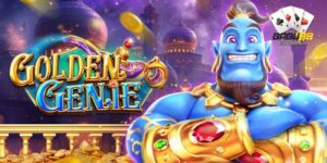 Why Players Love Golden Genie
