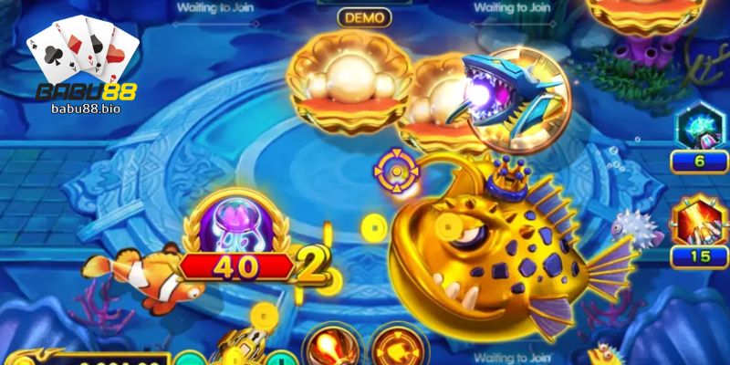 Dragon Fishing - Cannon controls and stake exposure management