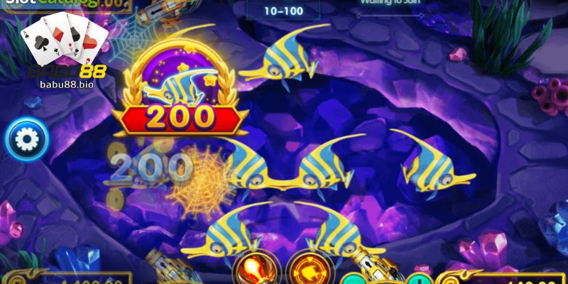 Dragon Fishing - Game format identity and core loop behavior