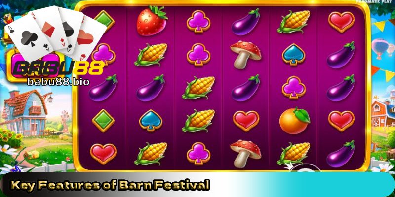 Key-Features-of-Barn-Festival. 
