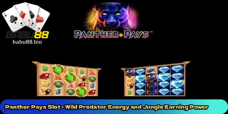 Panther-Pays-Slot-Wild-Predator-Energy-and-Jungle-Earning-Power. 