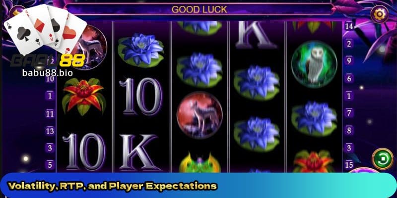 Volatility-RTP-and-Player-Expectations 