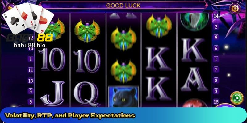Volatility-RTP-and-Player-Expectations