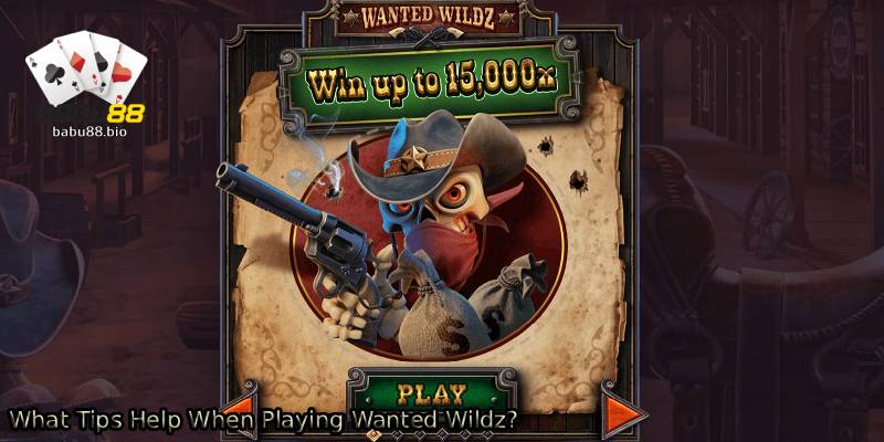 What-Tips-Help-When-Playing-Wanted-Wildz_.