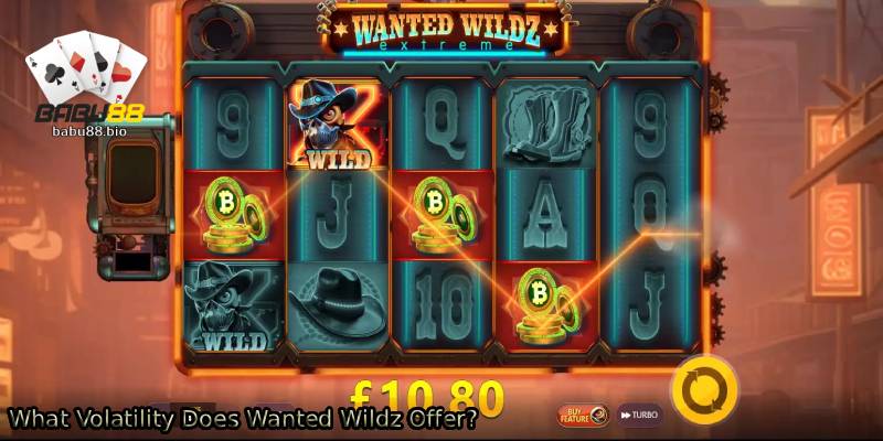 What-Volatility-Does-Wanted-Wildz-Offer_.